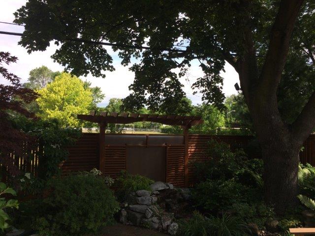 Cedar Fence Staining