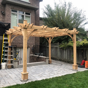 Cedar Pergola and Shed Complete Restoration