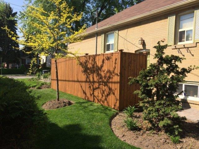 Wood Fence Staining