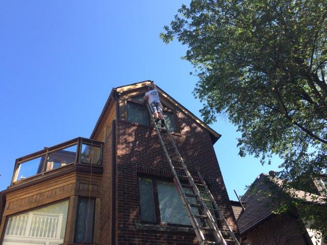 Cedar Wood Siding