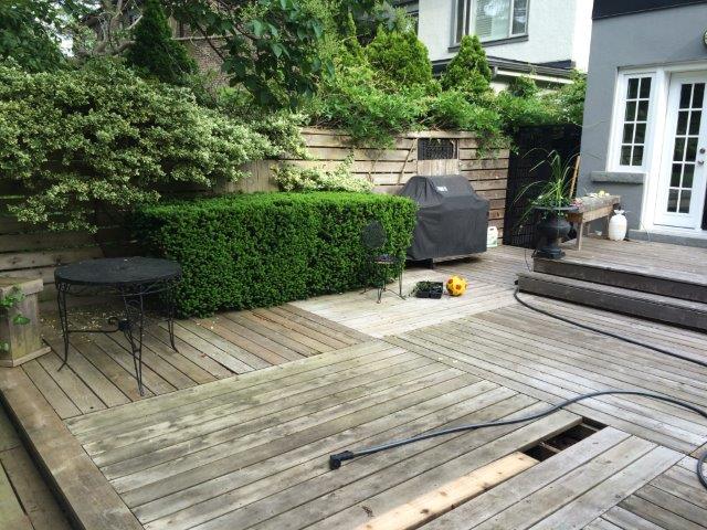 Cedar Decking Scrubbing